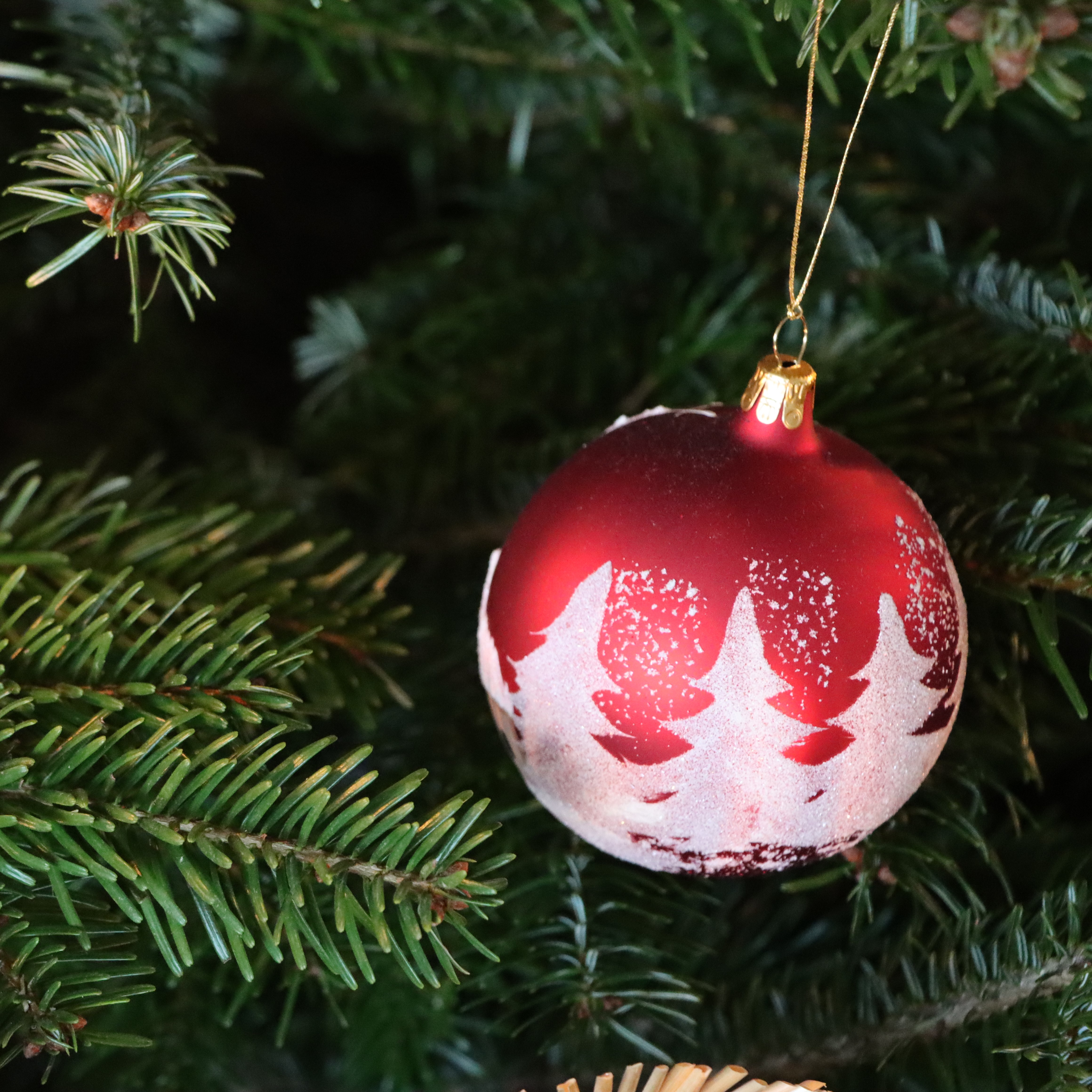 Foto ener Weihnachtskugel